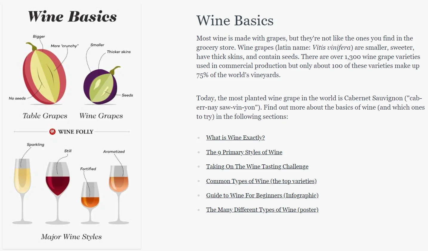 Wine Basics Section