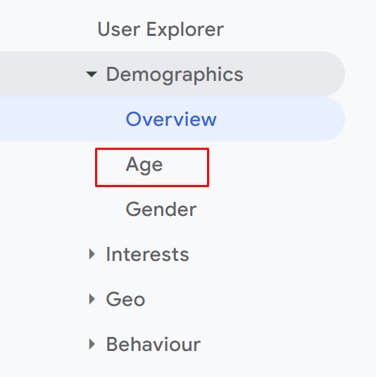Google Analytics Age Section